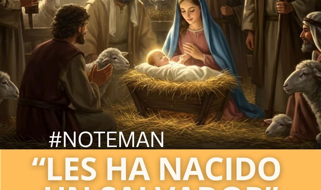 Boletín del 7 de diciembre