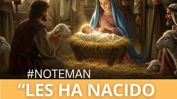 Boletín del 7 de diciembre