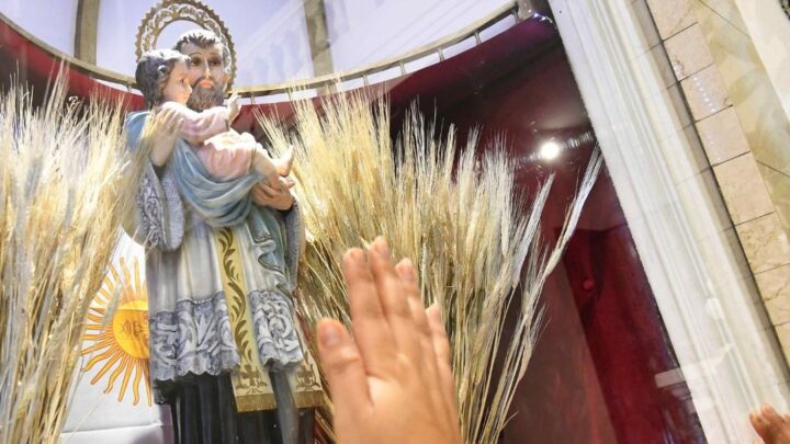 Boletín del 7 de febrero